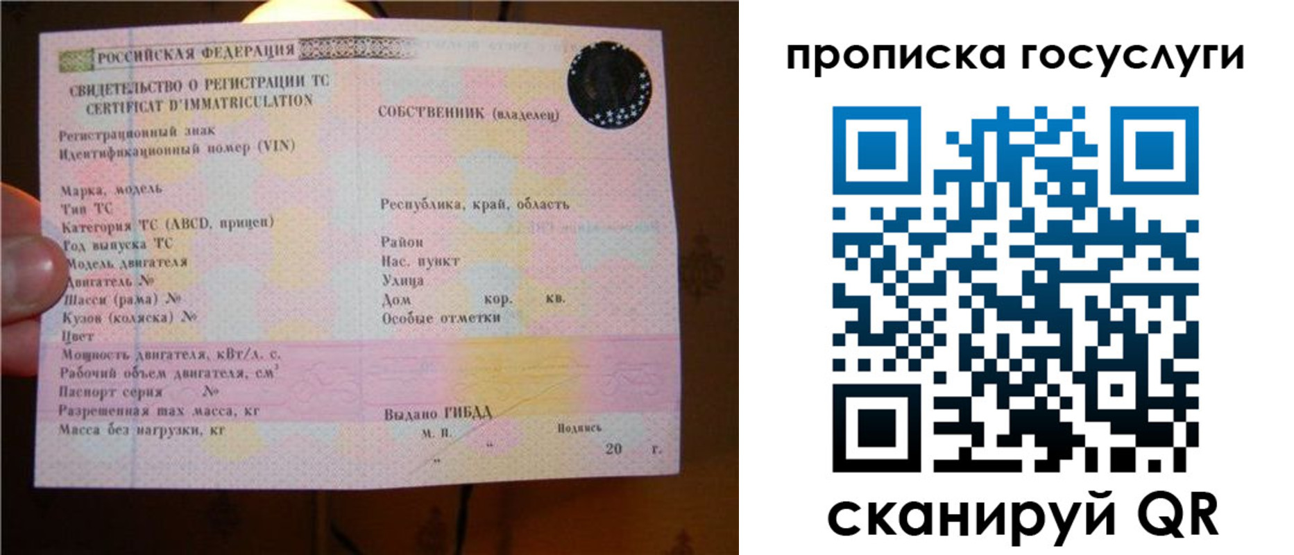 регистрация для дет. сада в Александровске